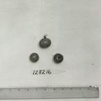 Click for 1 image(s) for this accession. FRUIT
